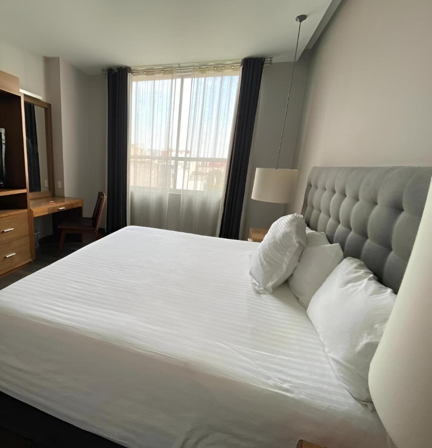 Suites Del Angel Mexico City Ngoại thất bức ảnh