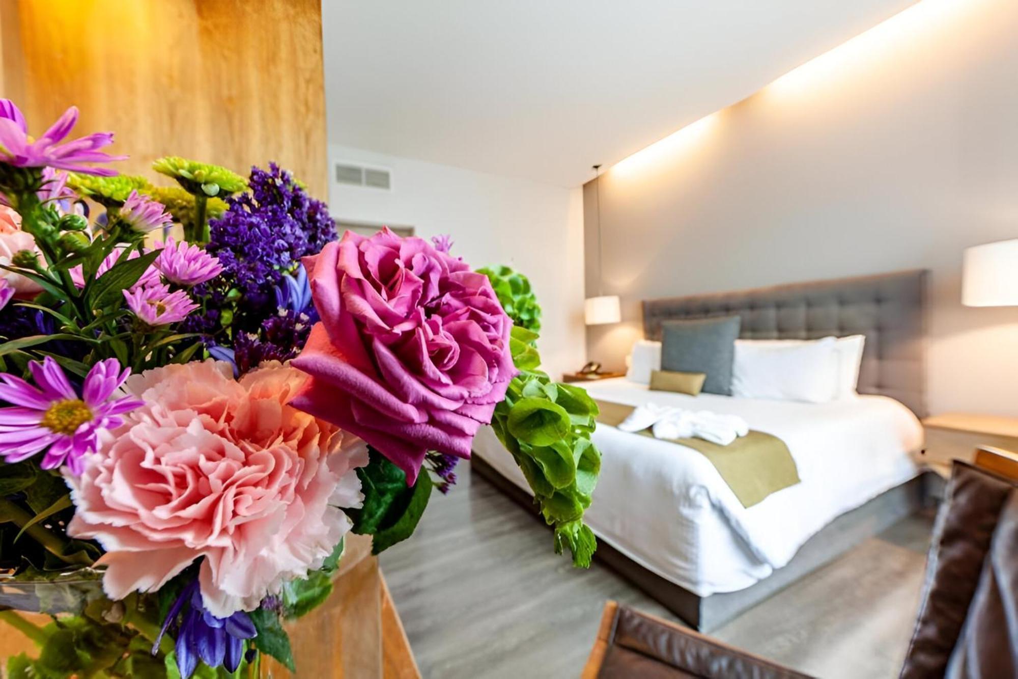 Suites Del Angel Mexico City Ngoại thất bức ảnh